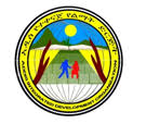 Addis Integrated Development Organization